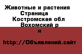  Животные и растения - Страница 11 . Костромская обл.,Вохомский р-н